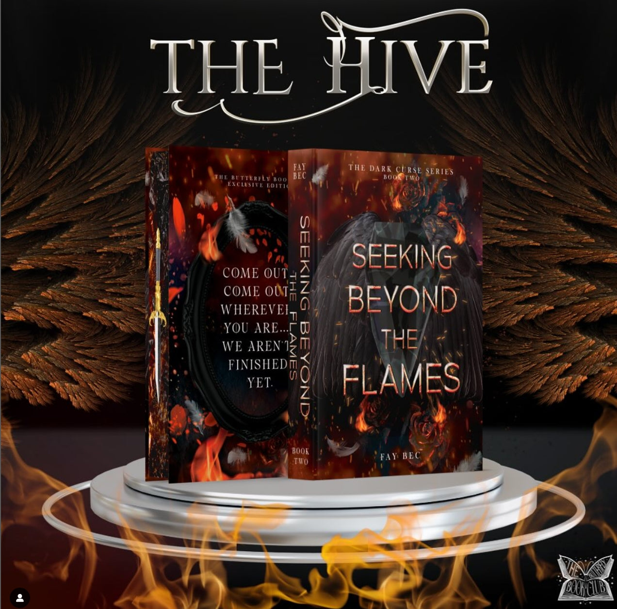 Seeking Beyond the Flames