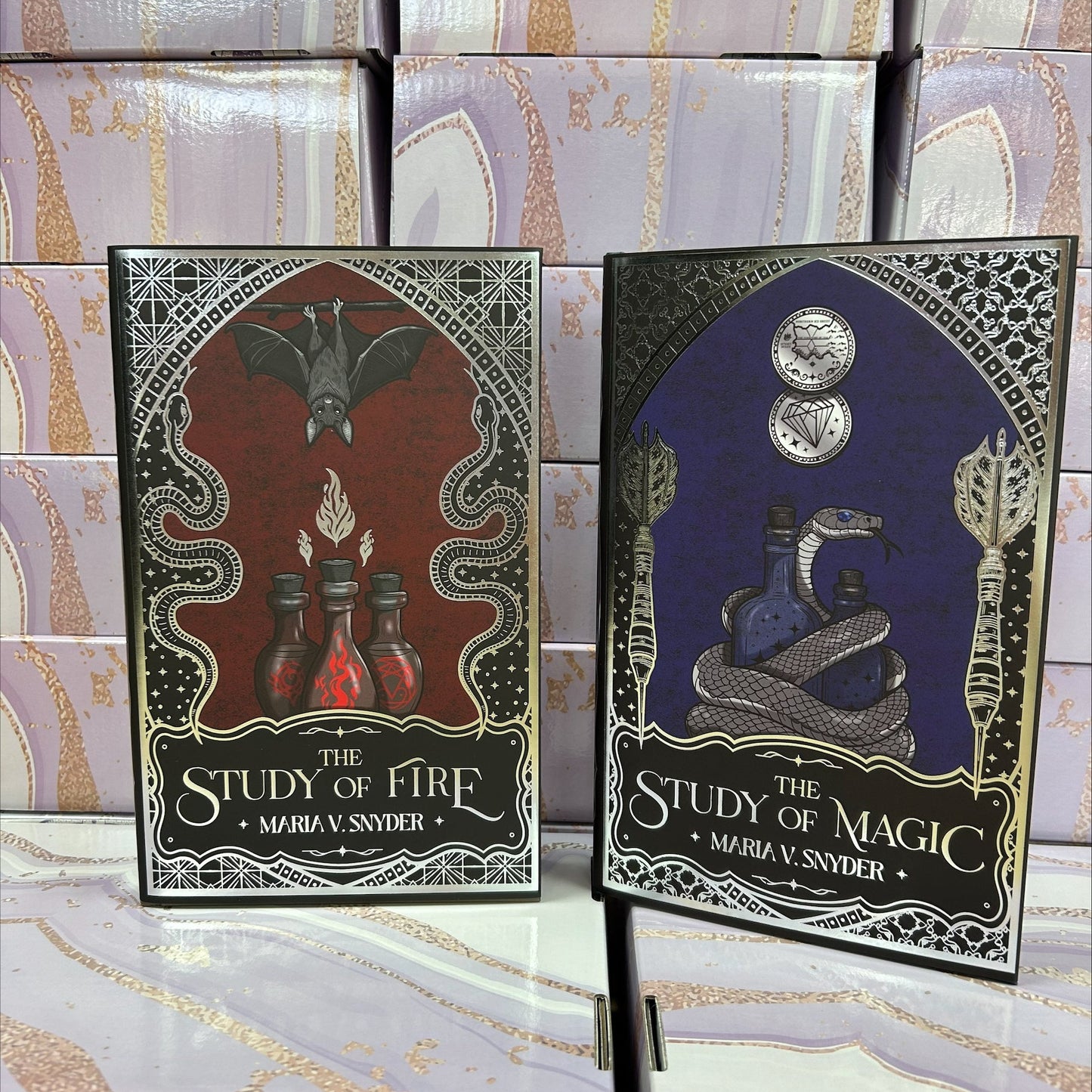 The Study Chronicles - The Study of Magic and The Study of Fire